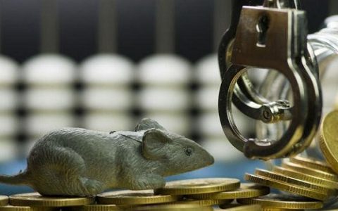 东海证券 龙点金